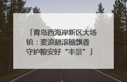 青岛西海岸新区大场镇：麦浪翻滚穗飘香 守护粮安好“丰景”